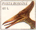 Pteranodon head