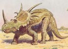 Ch. Knight Styracosaurus