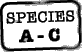 Species A- C