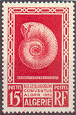 Ammonite, Algeria